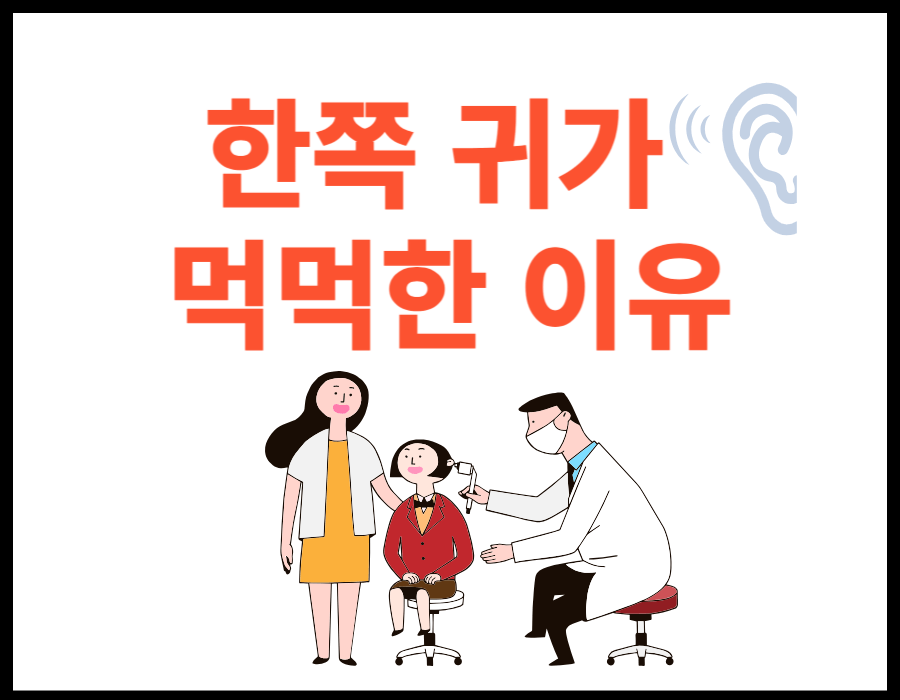 한쪽 귀 먹먹해지는 이유를 아시나요? 갑자기 귀에서 소리가 잘 안 들리거나 먹먹해지는 경우가 있는데요~ 그 이유를 알아봤습니다. 또한 평소에 어떤 습관이 귀를 먹먹하게 만들지 않는지도 함께 확인해 보세요.