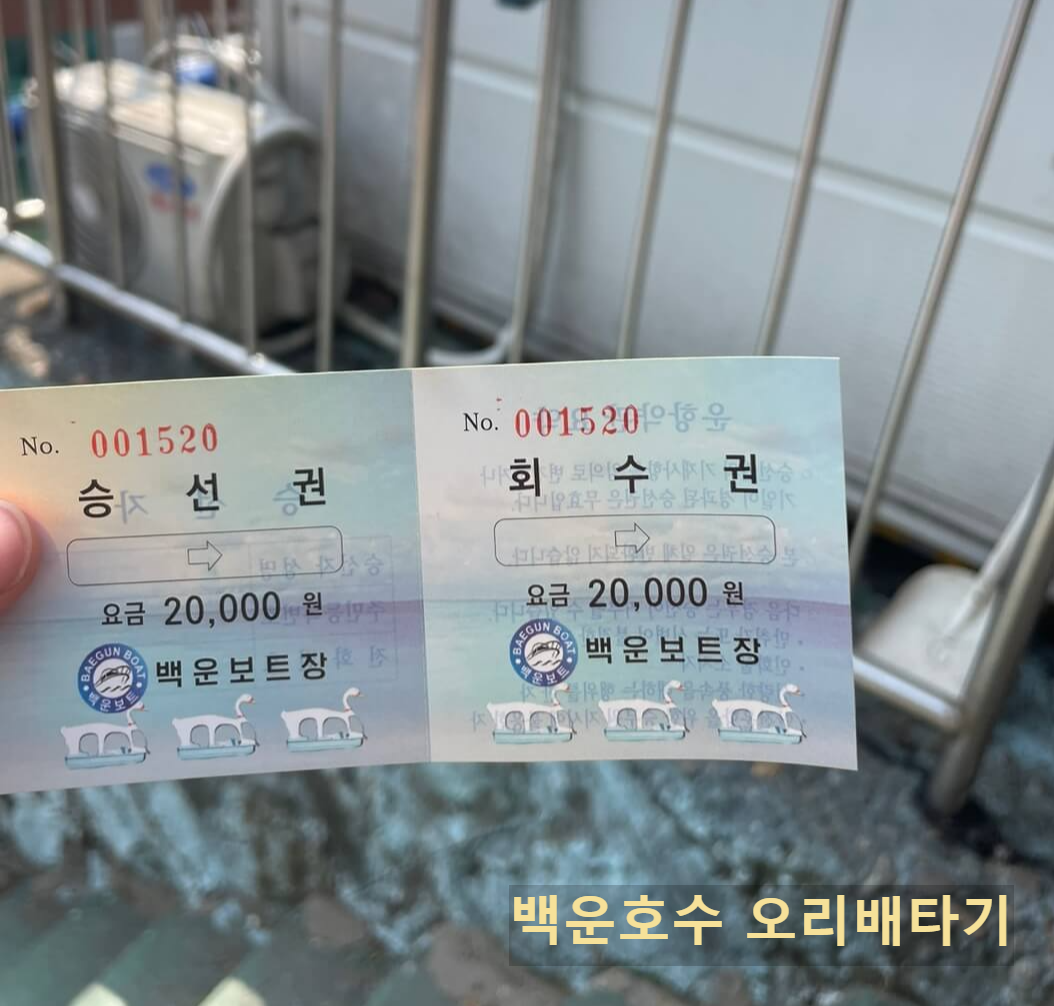 백운호수 오리배