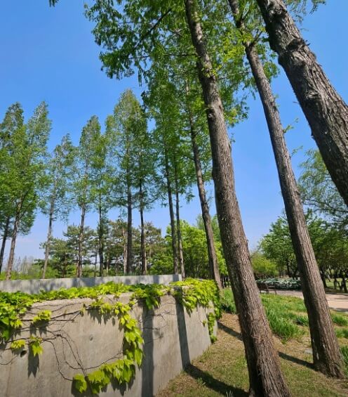 선유도공원 가는 방법