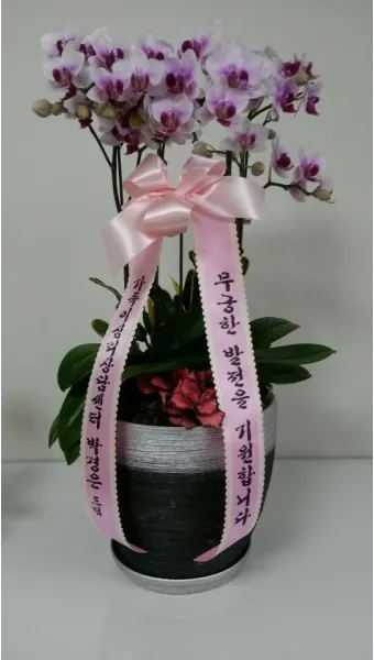 귀사의 무궁한 발전을 기원합니다 뜻 사용 예시_7