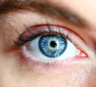 눈에 날파리 현상