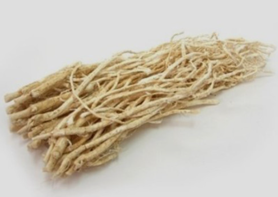 말린 황기 뿌리