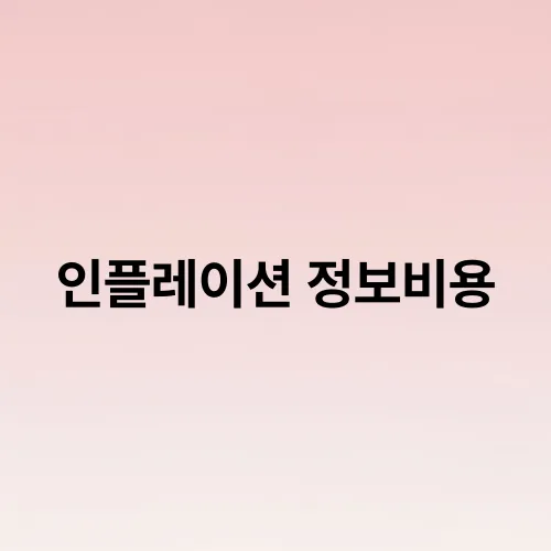 인플레이션 정보비용