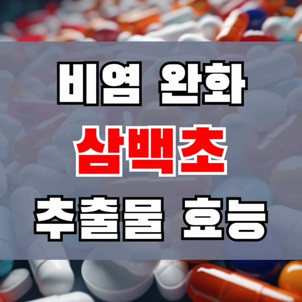 비염 호흡기 건강엔 삼백초 추출물 효능