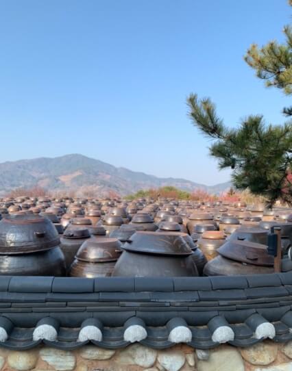 청매살농원(1)