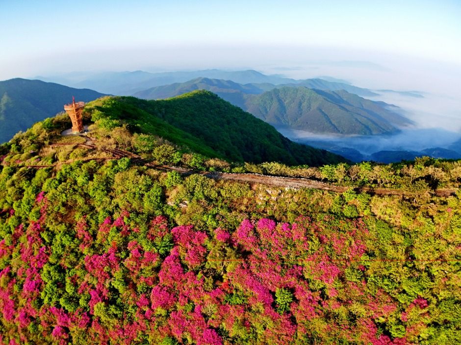 의령 가볼만한곳 베스트10