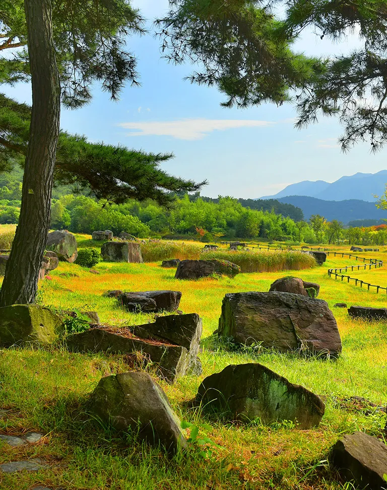 고창 맛집 베스트10 숨겨진 나만 아는 맛집_3
