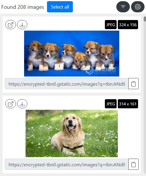크롬 이미지 다운로드 확장 프로그램