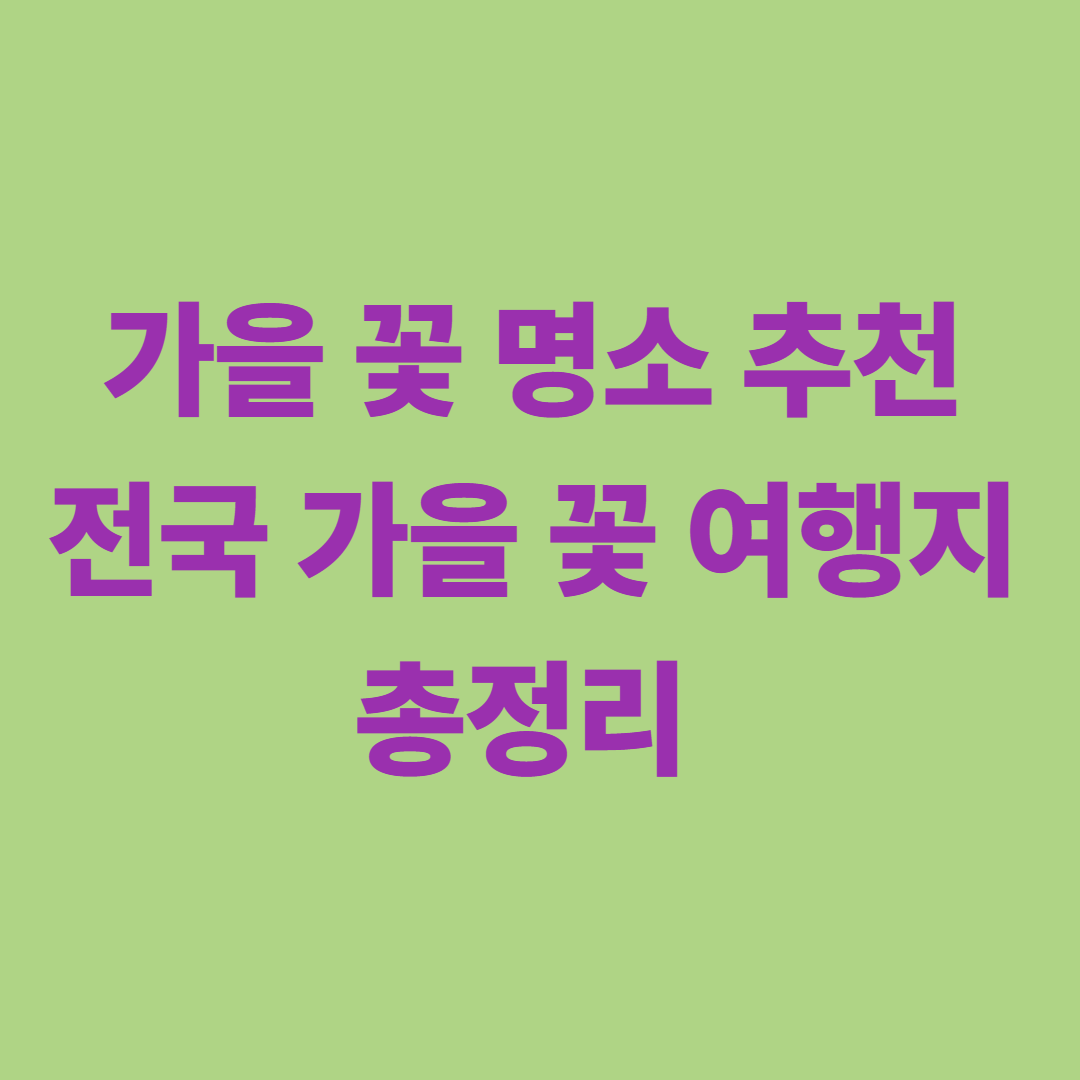 가을 꽃 명소 추천 — 전국 가을 꽃 여행지 총정리