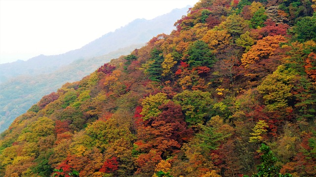 속리산