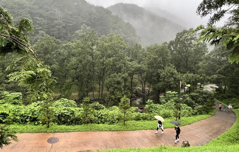 국립 예산 치유의 숲