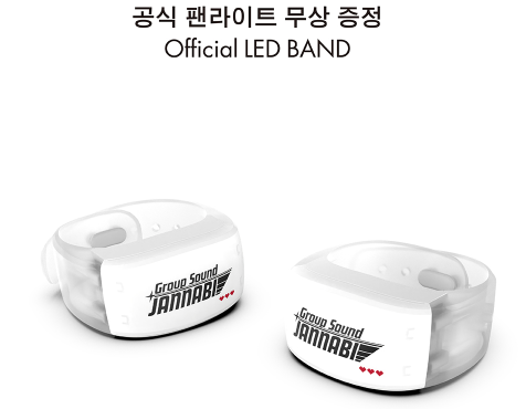 잔나비 콘서트