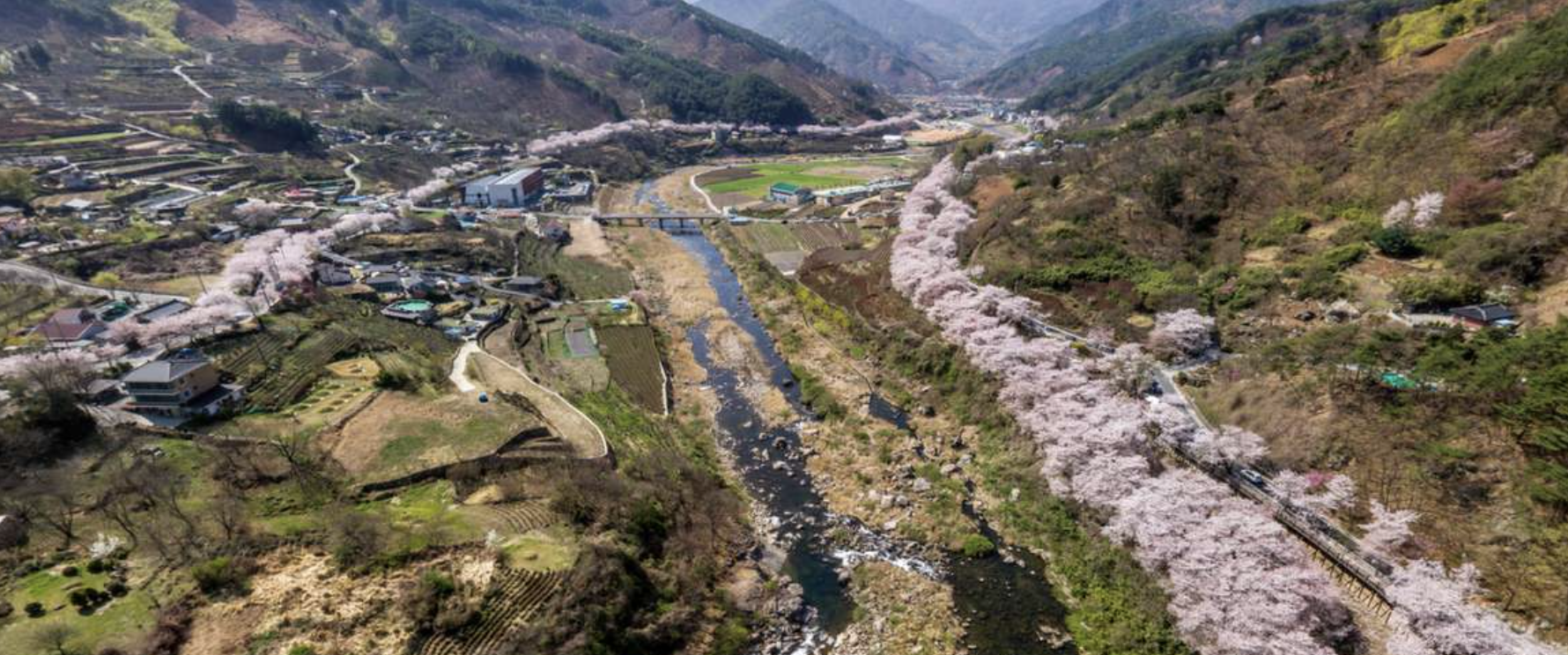 부산 근교 봄축제 하늘 사진