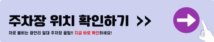 광안리 드론쇼 주차장