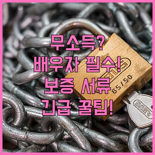 부부 합산 소득 0원 배우자 전세 보..