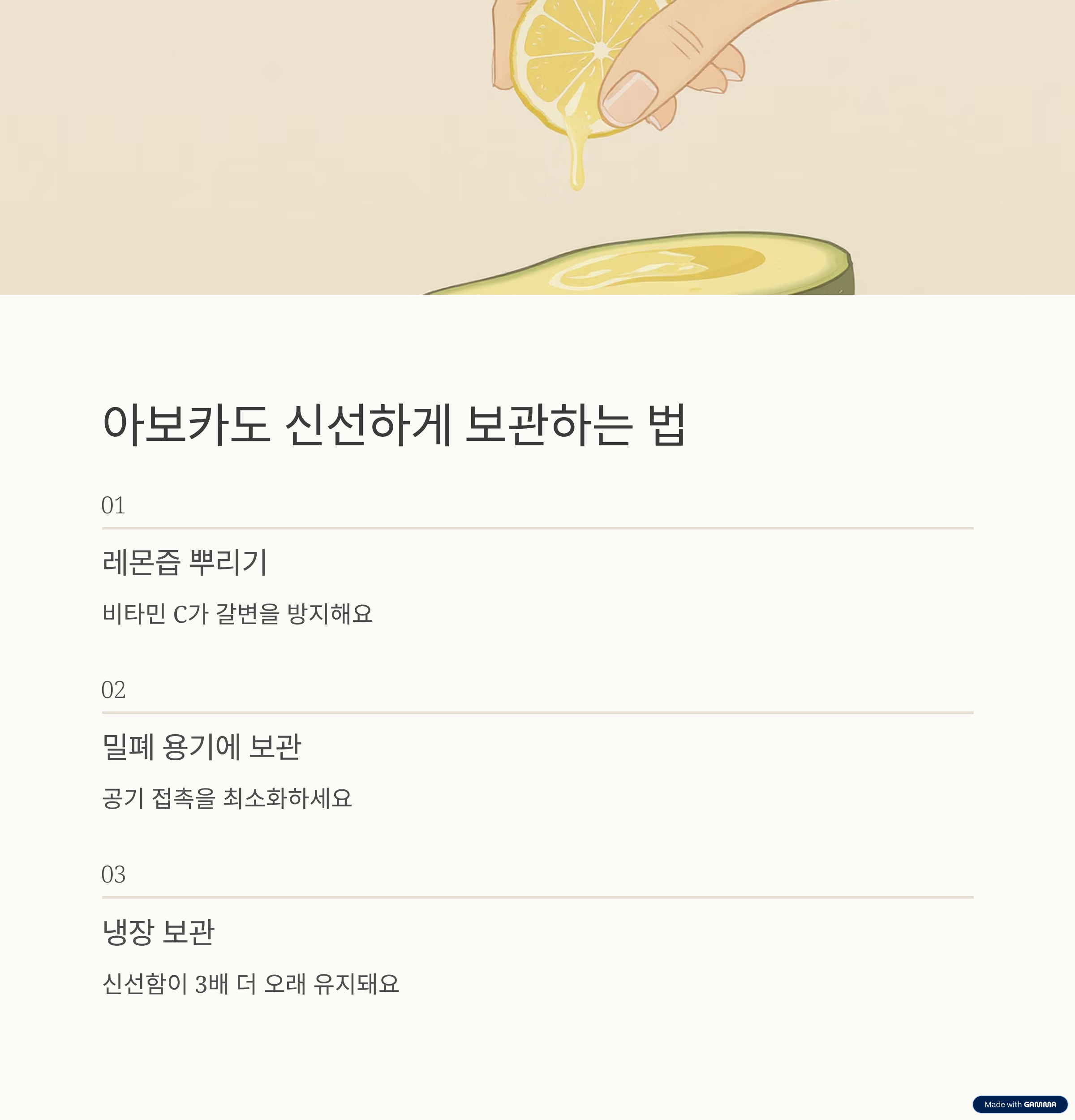 아보카도