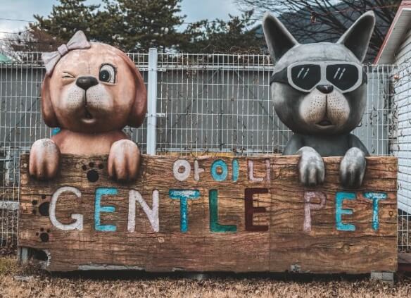 문경 가볼만한곳 베스트 10