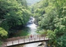 덕유산 곤도라 예약 요금 운행시간