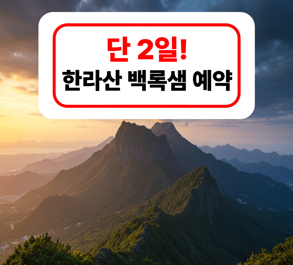 단 이틀! 한라산 백록샘 예약법