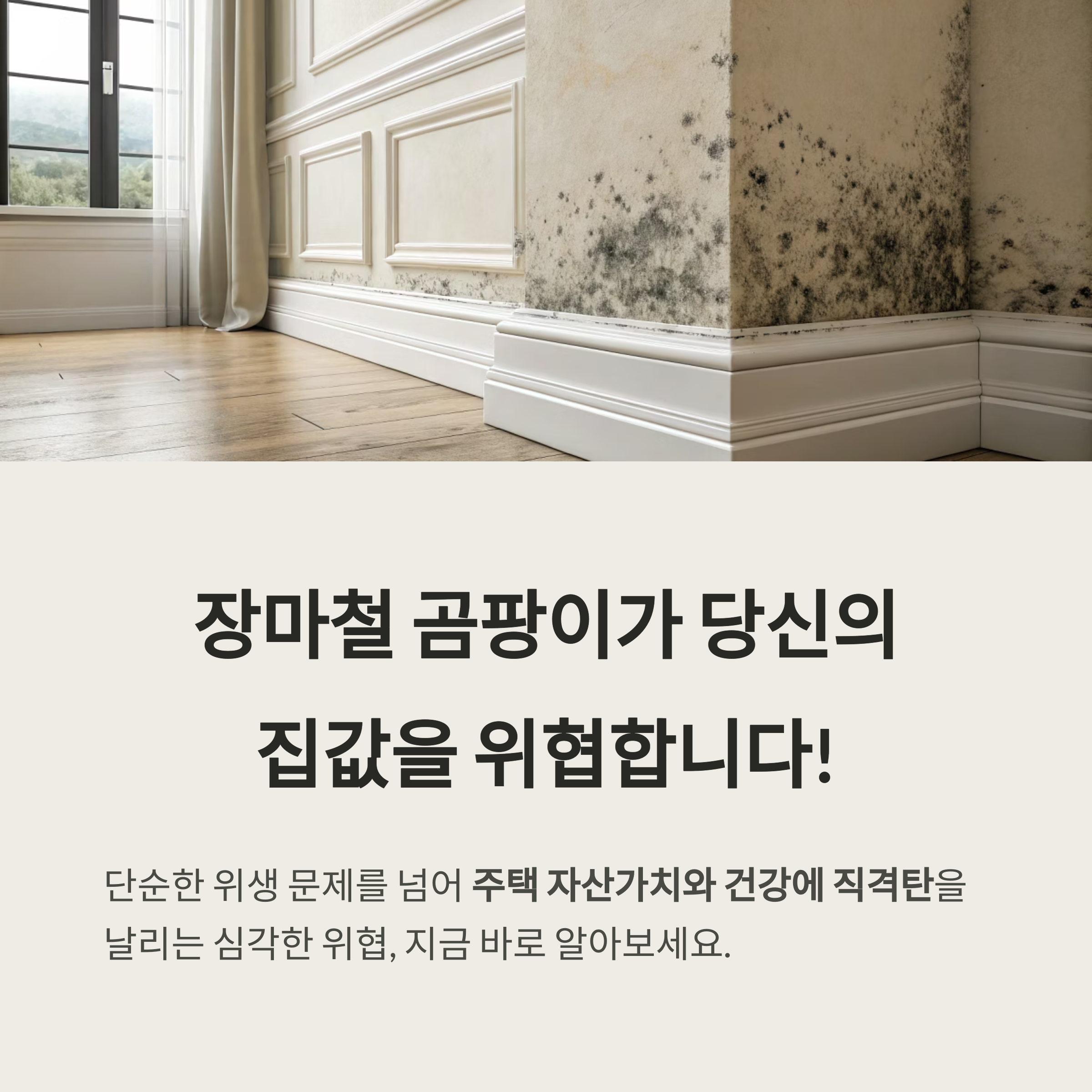 장마철 곰팡이