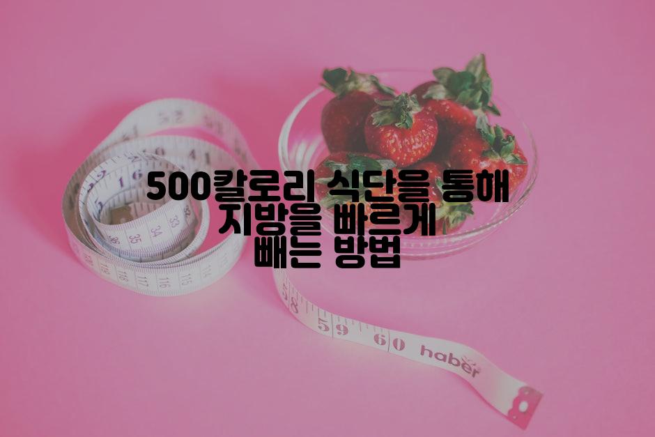 500칼로리 식단을 통해 지방을 빠르게 빼는 방법