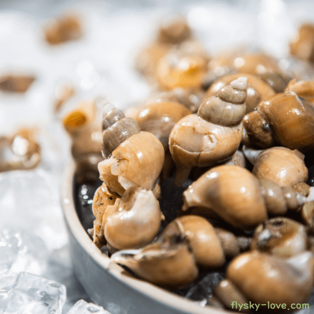 고둥(골뱅이) 효능