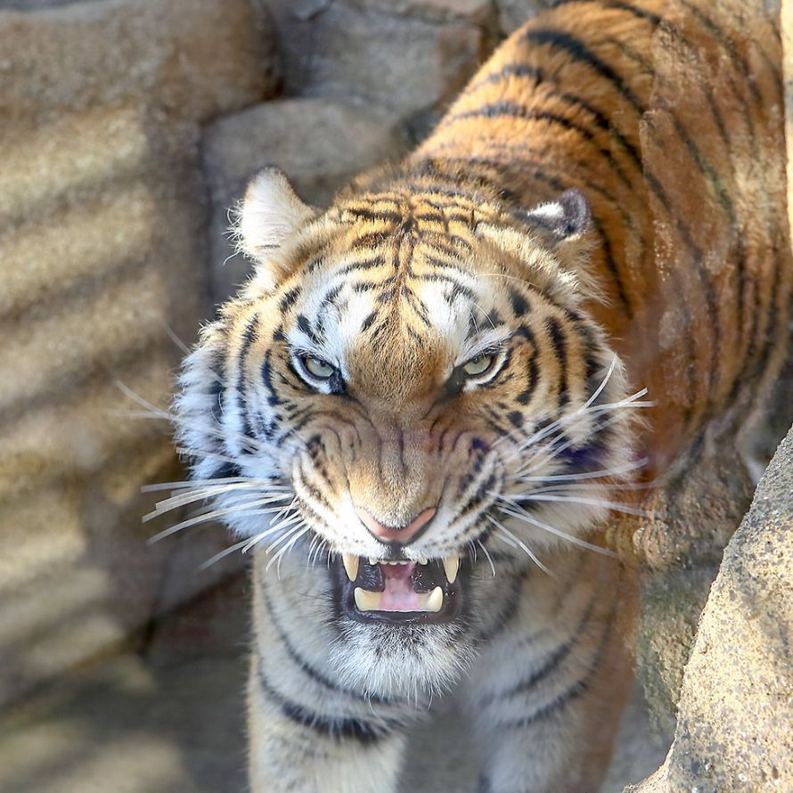 7월 가볼만한곳 10곳 대구광역시
