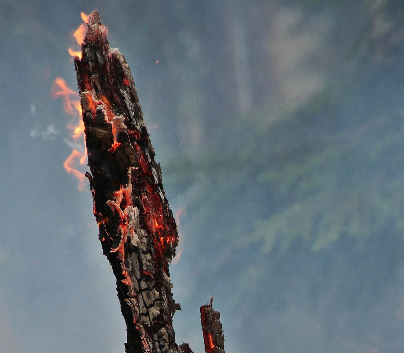 기후 위기는 왜 ‘정권 교체’의 핵심 변수로 떠올랐는가!