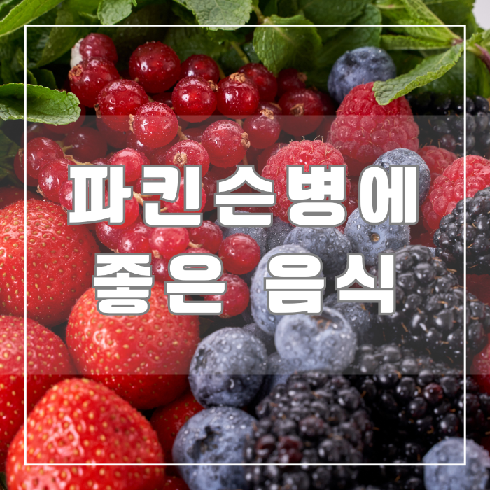 파킨슨 병에 좋은 음식