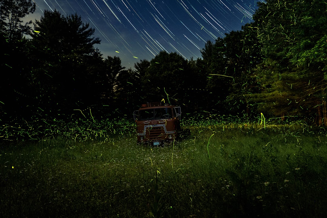 Firefly