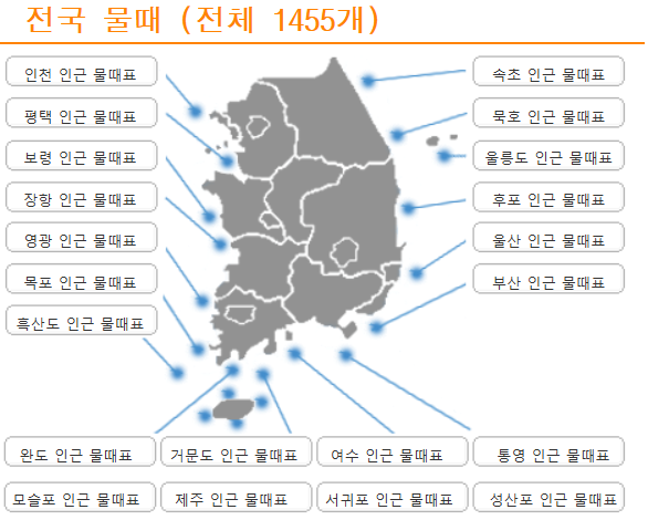 [물때 확인하는 법] 바다 여행&middot;갯벌 체험&middot;낚시 전 꼭 알아야 할 필수 정보