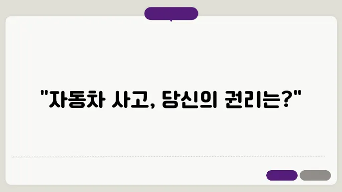 자동차손해배상 보장법