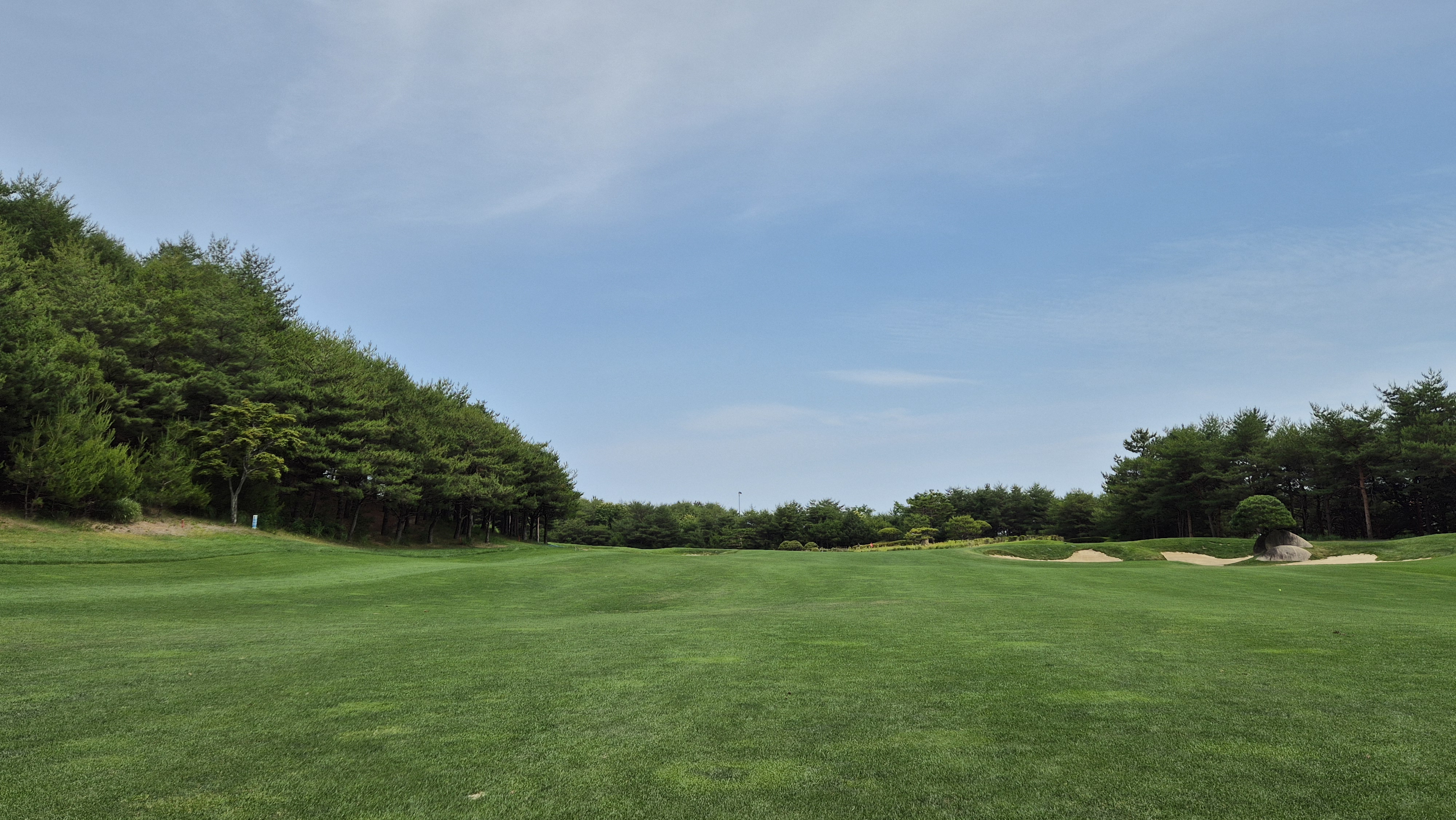 파인리즈cc 후기 및 코스사진