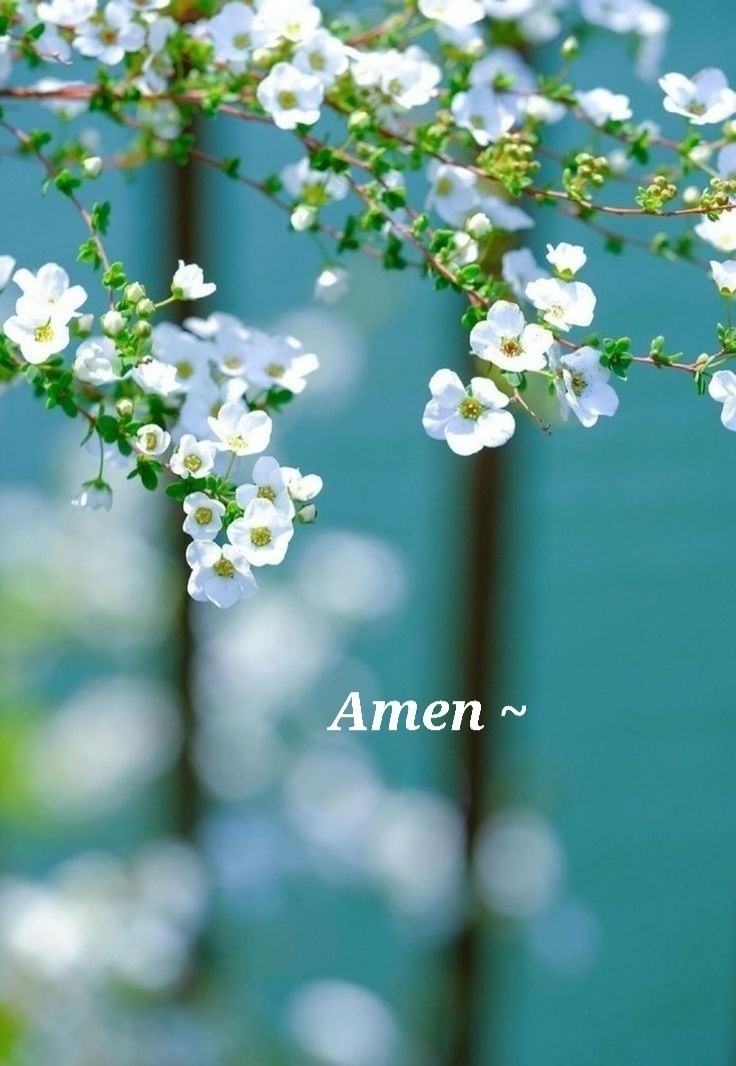 AMEN 문구가 써 있는 교회 이미지