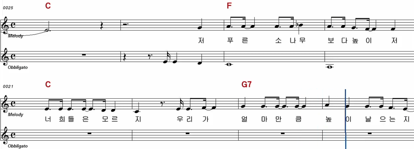 이태원(정광태) 도요새의 비밀 악보