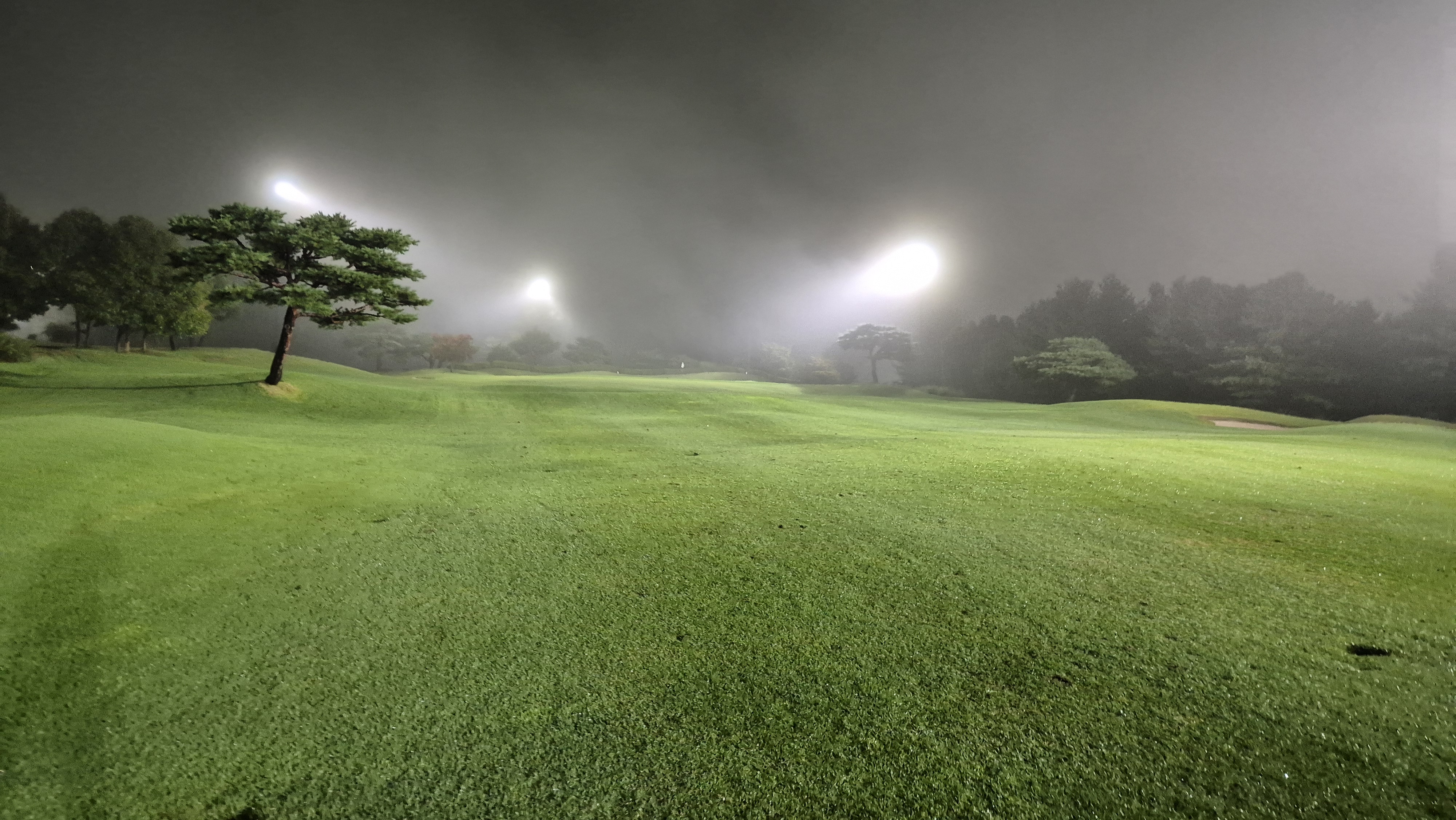 블루원용인cc 중코스