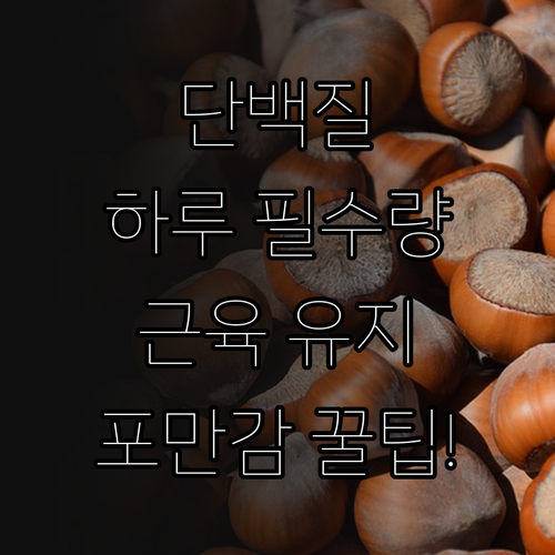 단백질 하루 권장량과 효율적인 섭취법..