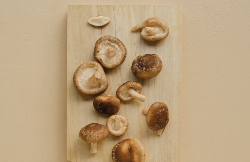 표고 버섯 효능 : 면역력 증진