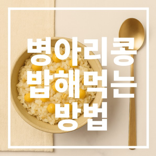 병아리콩 밥해먹는 방법