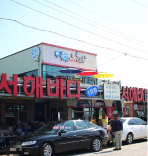 고창 청농원 라벤더시즌