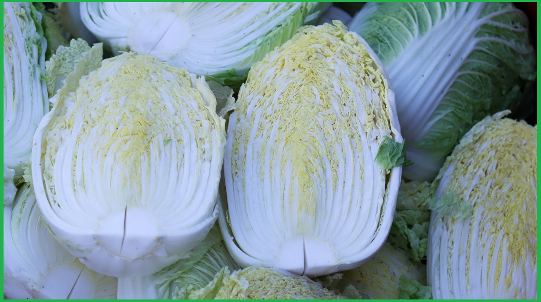 맛있게-김장-하는법