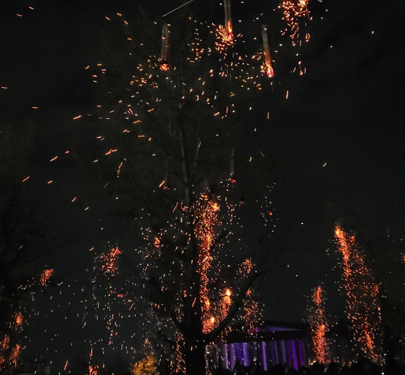 세종 중앙공원 낙화축제 정보와 방문요령(출처-홈페이지)