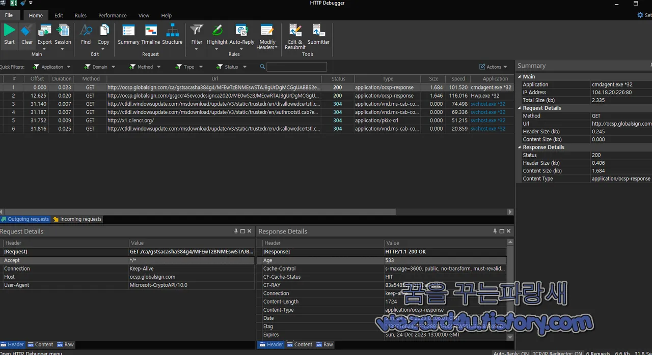 HTTP Debugger Pro 본 접속 내용