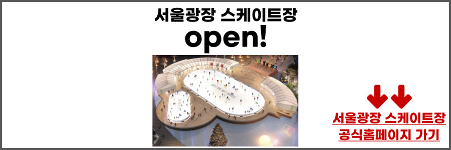 서울광장 스케이트장