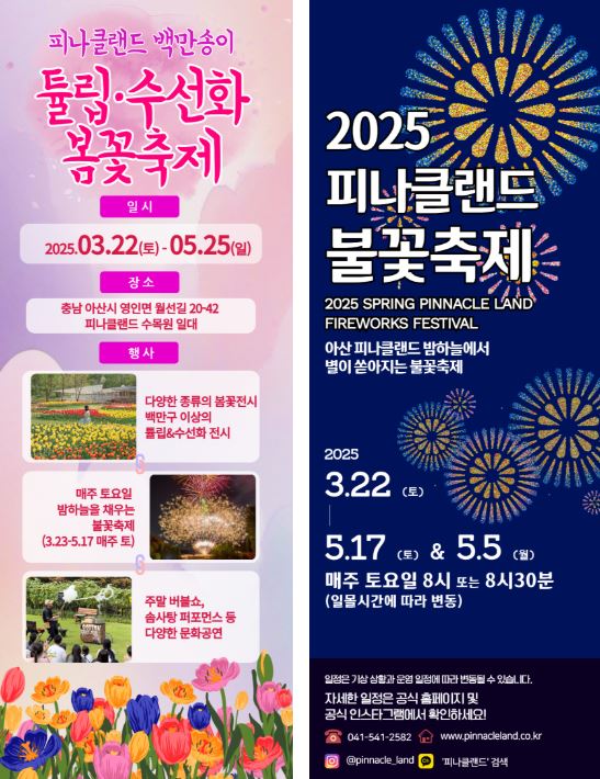 피나클랜드 불꽃놀이