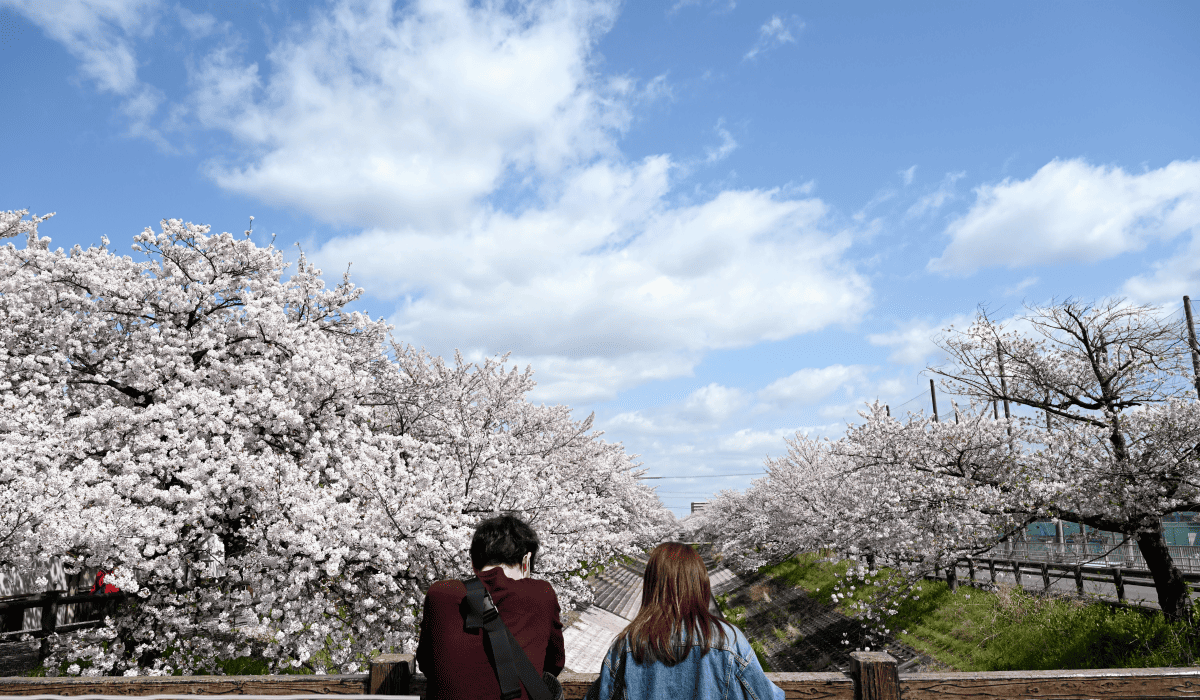산