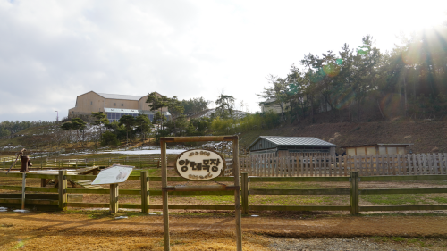 전북 고창 가볼만한 곳 상하농원 파머스 빌리지 수영장 할인정보