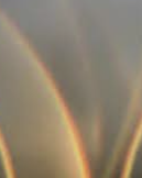 ISTP 유형 특징 분석