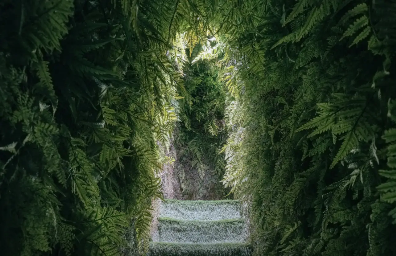 크리스마스-데이트