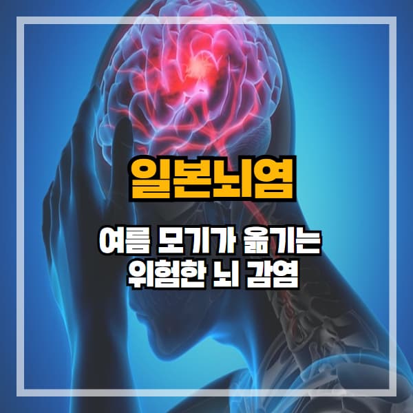 일본뇌염, 여름 모기가 옮기는 위험한 뇌 감염